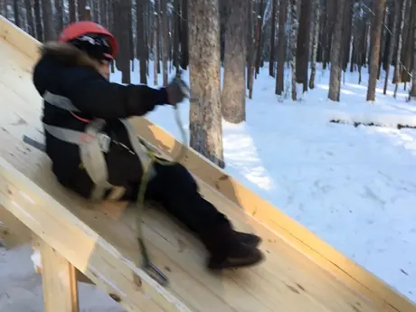 Верёвочный парк среди сосен